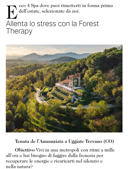 Allenta lo stress con la Forest Therapy