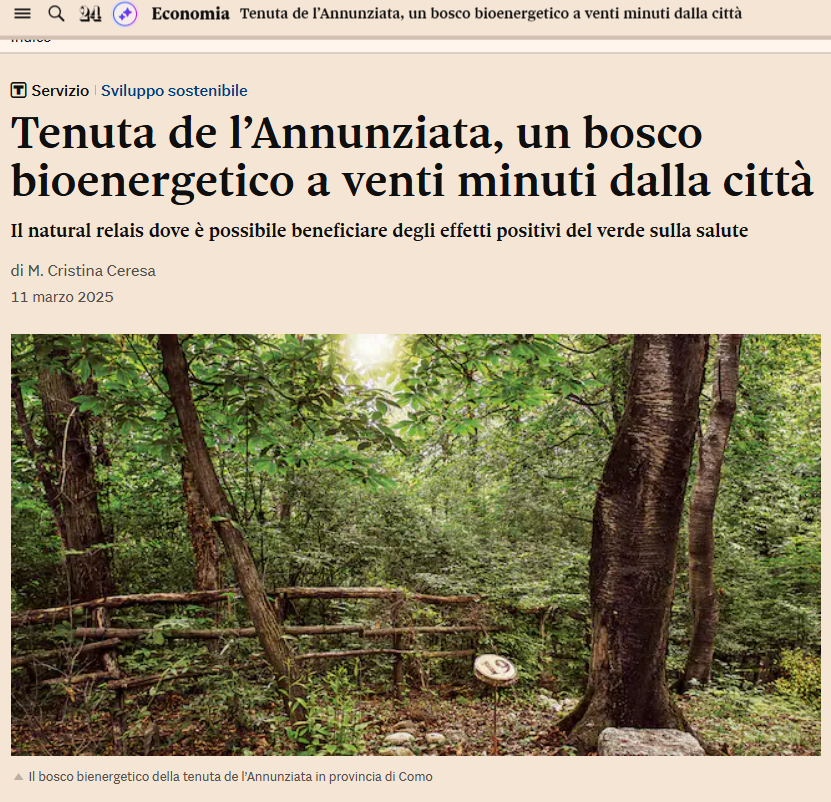 il Sole 24 ORE I Un bosco bioenergetico a venti minuti dalla città